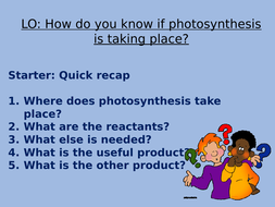 Testing a leaf for starch lesson | Teaching Resources