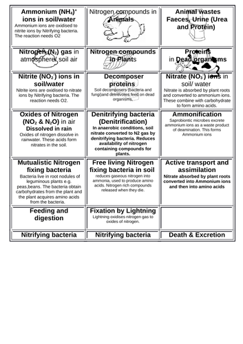 The Nitrogen Cycle | Teaching Resources