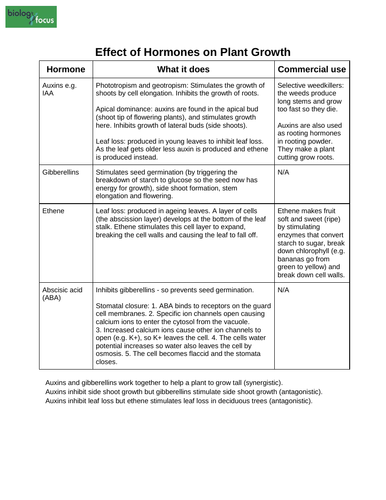 A Level Plant Hormones Actions and Uses Summary | Teaching Resources