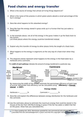 Food chains & energy transfer (updated) | Teaching Resources