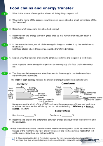 Food chains & energy transfer (updated) | Teaching Resources