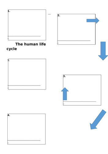 human life cycle ks1 science teaching resources