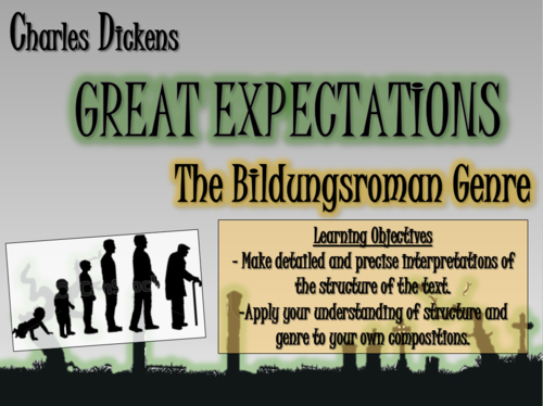 Great Expectations: The Bildungsroman Novel