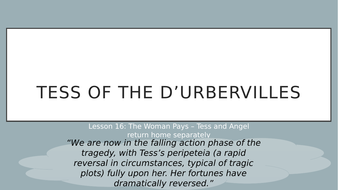 Durbervilles essay image
