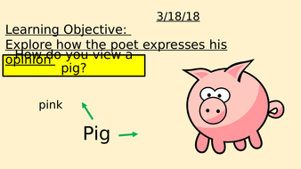 Ted hughes view of a pig essay picture