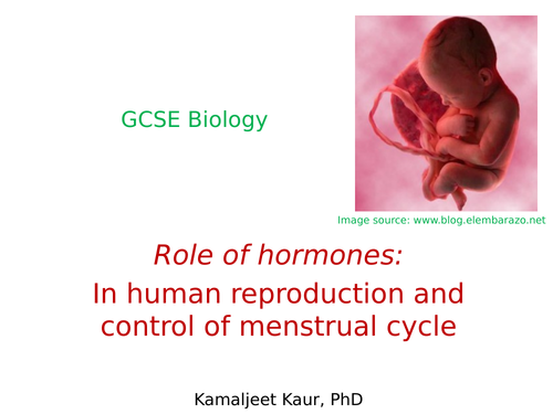 Gcse Biology Human Reproduction And Menstrual Cycle Teaching Resources