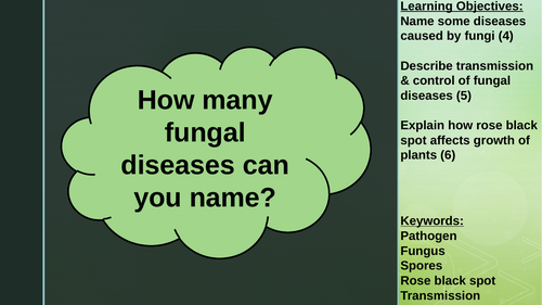 Types Of Communicable Disease Lesson Pack Teaching Resources