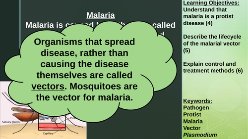 Types of Communicable Disease Lesson Pack | Teaching Resources