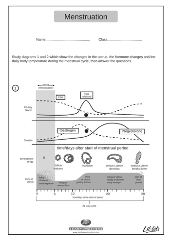 pdf, 166.39 KB