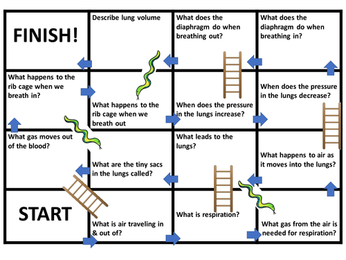 New AQA 1-9 GCSE Biology (Science) Biological Organisation Lesson ...