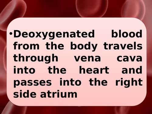 New AQA 1-9 GCSE Biology (Science) Biological Organisation Lesson ...