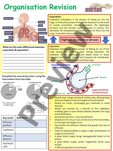 AQA 1-9 GCSE Biology (Science) Biological Organisation Work Booklet ...