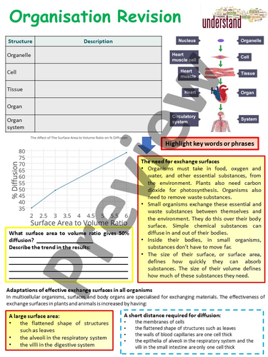 AQA 1-9 GCSE Biology (Science) Biological Organisation Work Booklet ...