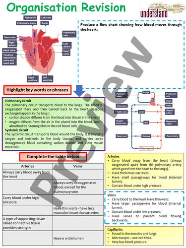 AQA 1-9 GCSE Biology (Science) Biological Organisation Work Booklet ...