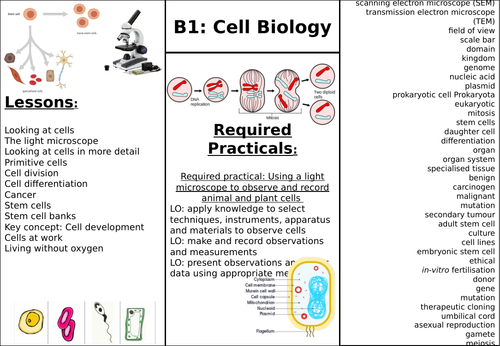 Revision Pages AQA Combined Science Higher (9-1)