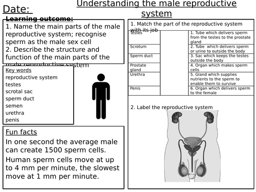 Reproduction Worksheets