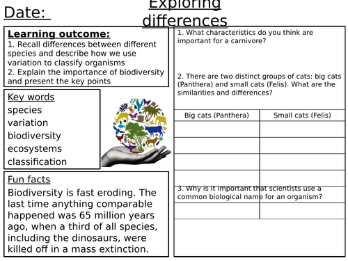 Variation Worksheets