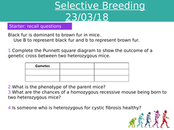 selective breeding probability