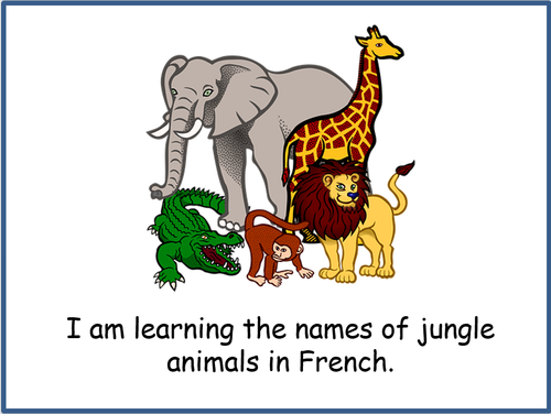 French Jungle Animals | Teaching Resources