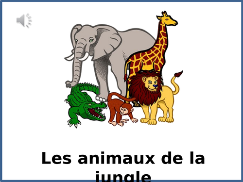 French Jungle Animals | Teaching Resources
