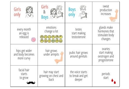 Puberty Card Sort Ks23 Teaching Resources 9616