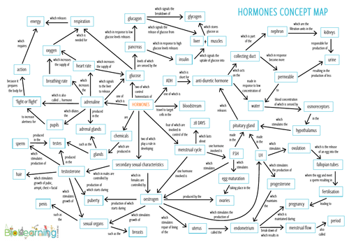 Concept map of hormones