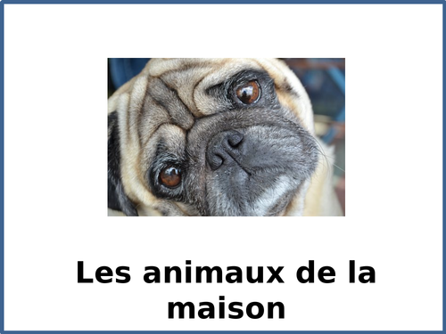 Les Animaux de la  Maison