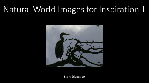 51 Free Photographs for Authors - Nature