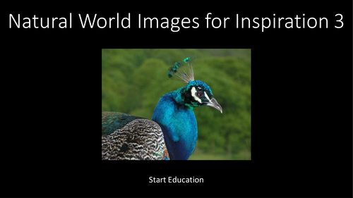 51 Free Photographs for Authors. Nature 3