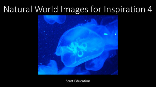 51 Free Photographs for Authors. Nature 4
