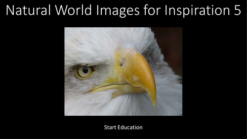 51 Free Photographs for Authors. Nature 5