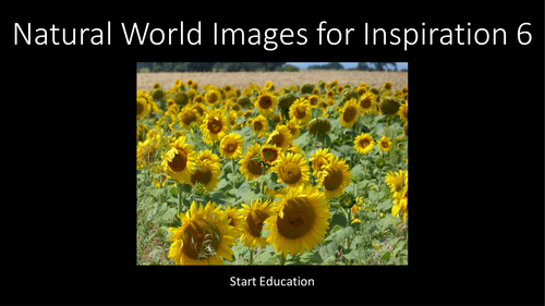 51 Free Photographs for Authors. Nature 6