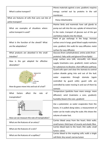AQA GCSE Biology Revision | Teaching Resources