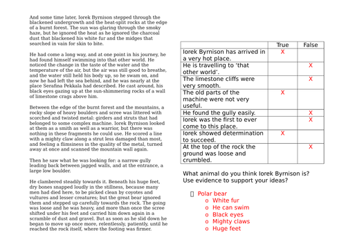 book review questions year 6