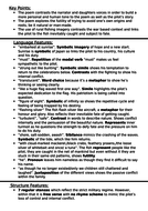 Kamikaze poem essay question image