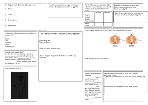 Revision mat: Activate 1 - Biology structure and function of body ...
