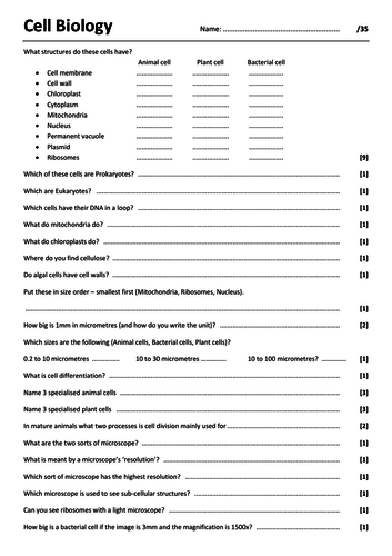 pdf, 347.04 KB