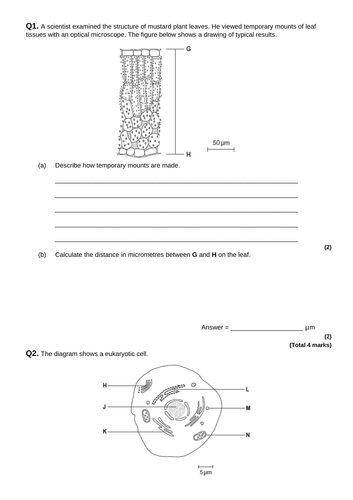 docx, 78.07 KB