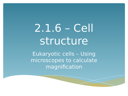 Using microscopes to calculate magnification AS level