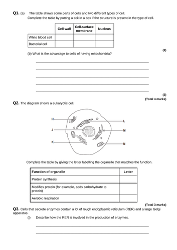 docx, 35.76 KB