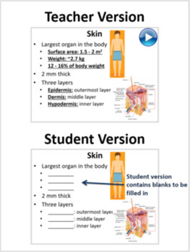Integumentary System Lesson | Teaching Resources