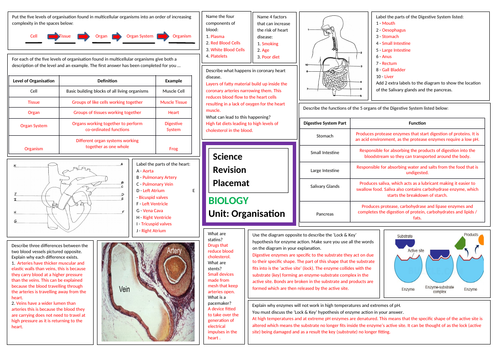 Organisation Revision Sheet For Aqa Gcse Combined Science Trilogy Includes Answers Teaching 1538