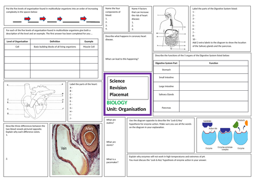 organisation revision sheet for aqa gcse combined science trilogy includes answers teaching resources