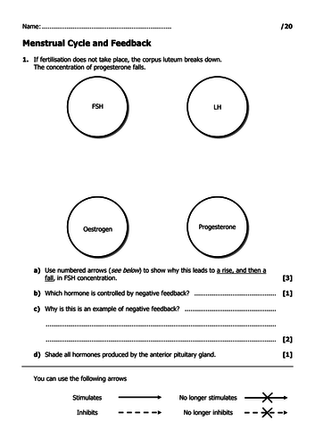 Menstrual cycle (2 powerpoints, two worksheets, card sort) Post 16