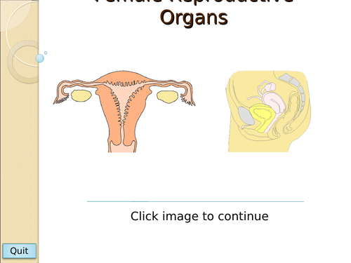 Menstrual cycle (2 powerpoints, two worksheets, card sort) Post 16