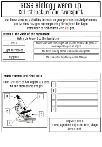 B1 Cell Structure and Transport Starters/Warm Ups