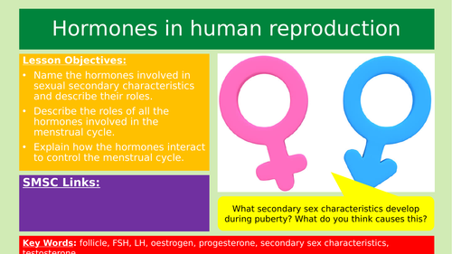 Hormones in human reproduction