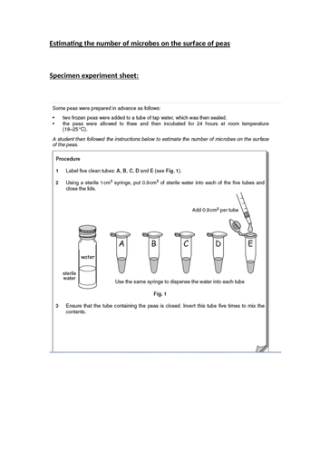 docx, 746.05 KB