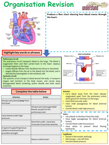 Aqa 1 9 Gcse Biologyscience Biological Organisation Revision Workbook 