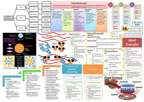 Revision Summary Sheet: Food Science